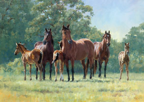 283x200 Mare And Foal Horse Prints, Limited Edition And Original Paintings - Mare And Foal Painting