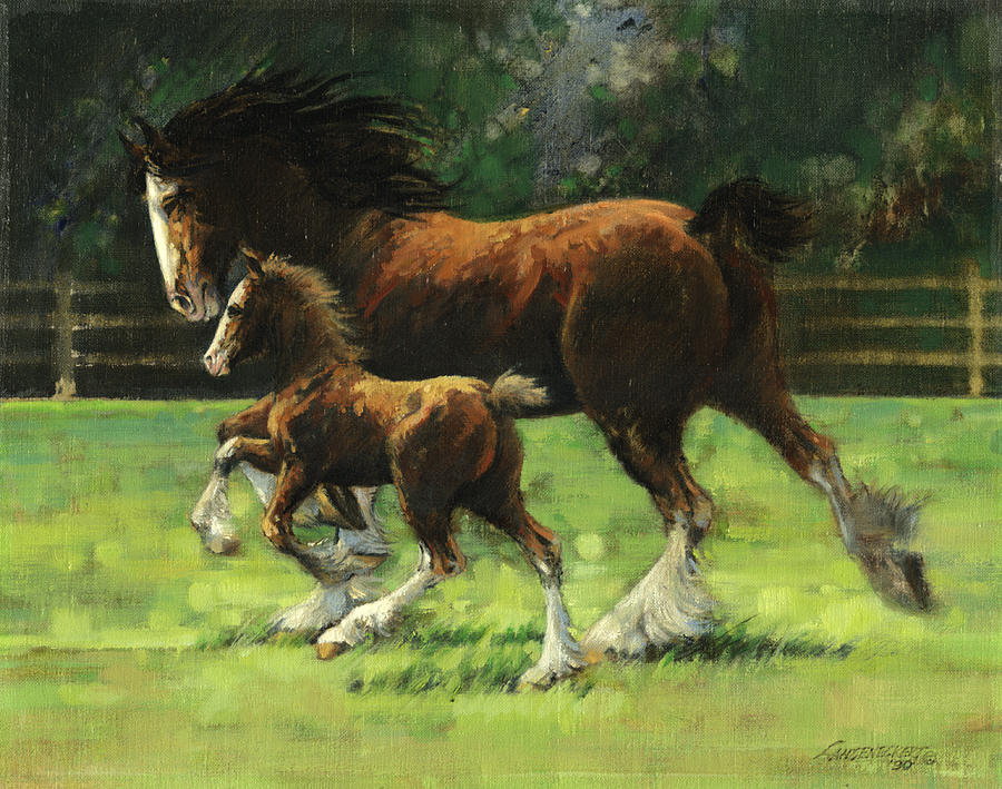 900x709 Clydesdale Mare And Colt Painting By Don Langeneckert - Mare And Foal Painting