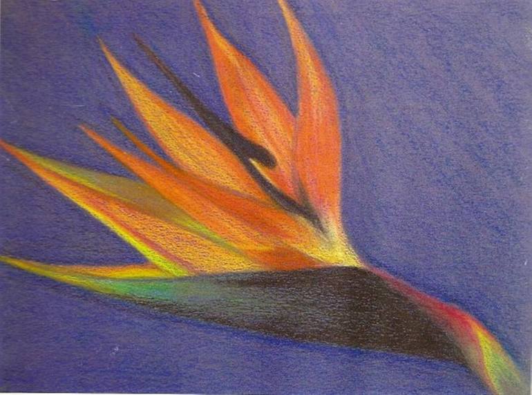 770x572 Saatchi Art Crane Flower Drawing By Margret Maria Gudjonsdottir - Maria Crane Painting