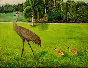 300x231 Sandhill Crane Paintings Fine Art America - Maria Crane Painting