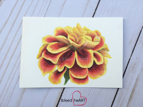 498x373 Marigold Floral Painting Ibleedheart - Marigold Painting