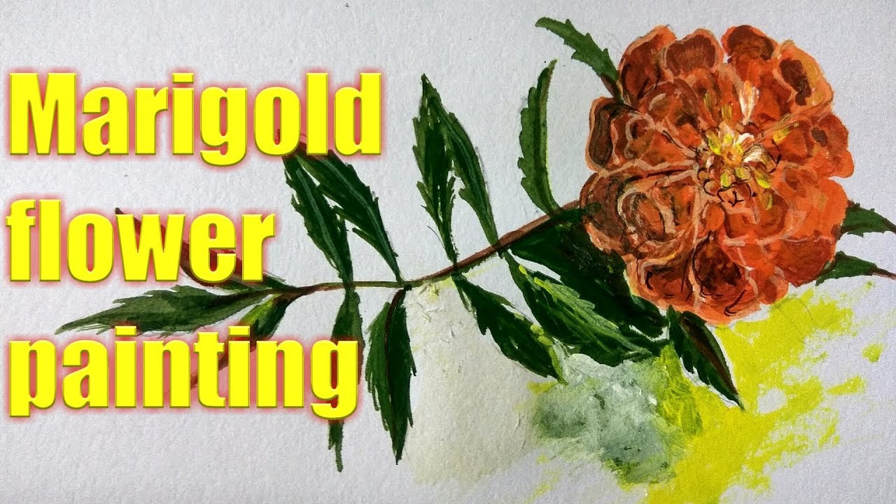 1280x720 Marigold Flower Painting how To Draw And Paint Marigold Flower - Marigold Painting