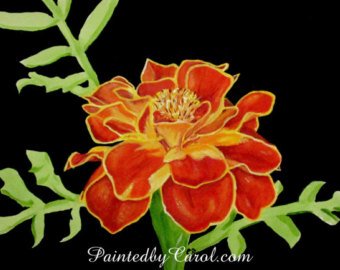 340x270 Marigold Painting Etsy - Marigold Painting