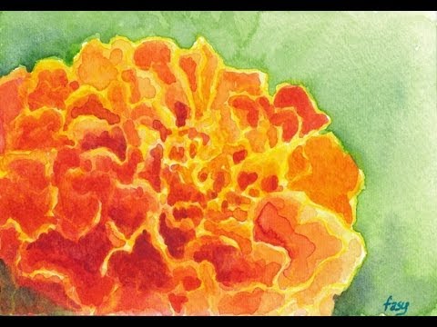480x360 Of The Amp Majestic Marigold Art - Marigold Painting