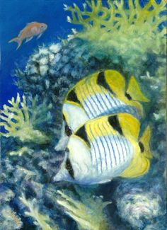 236x325 109 Best My Marine Life Paintings ( Jennifer Belote ) Images - Marine Life Painting