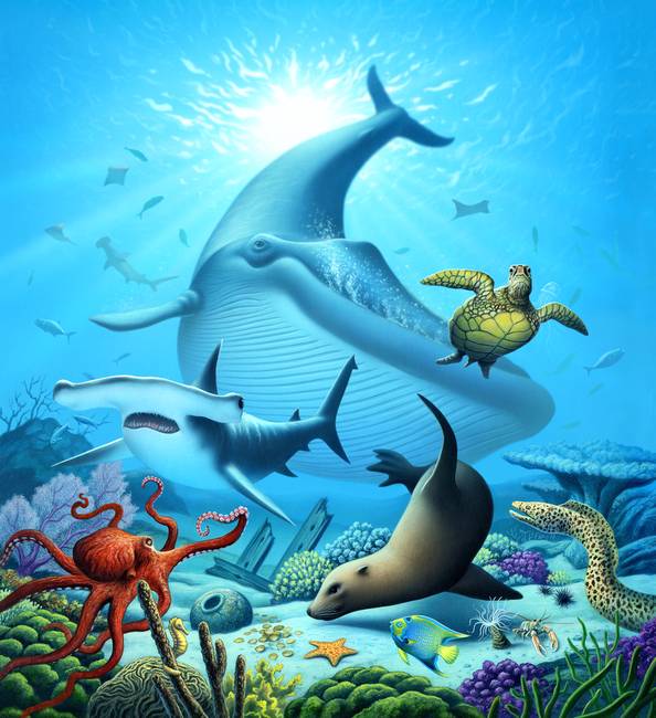 594x650 Ocean Life By Jerry Lofaro - Marine Life Painting
