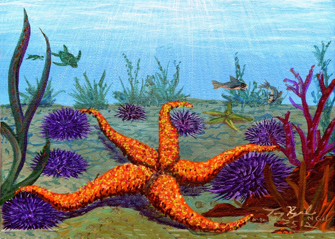 1100x784 Other Marine Creatures - Marine Life Painting