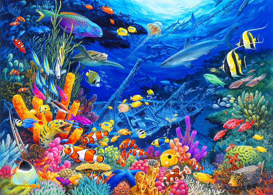 900x642 Undersea Wonders Painting By John Francis - Marine Life Painting