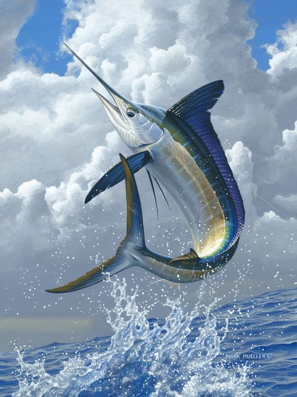 Marlin Painting at PaintingValley.com | Explore collection of Marlin ...