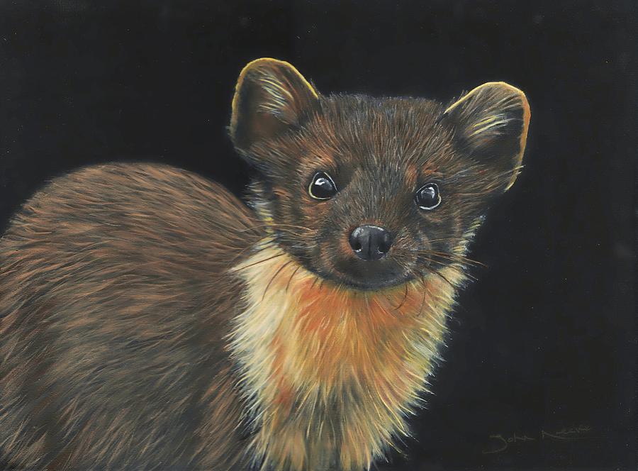 900x664 Pine Marten Painting By John Neeve - Marten Painting