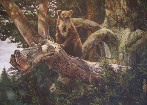 500x356 Primeaval Forest Predator - Marten Painting