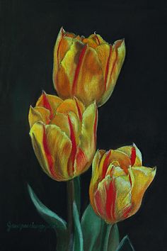 236x354 Pastel Tulips Art Pastels, Paintings And Pastel Art - Marvelous Painting