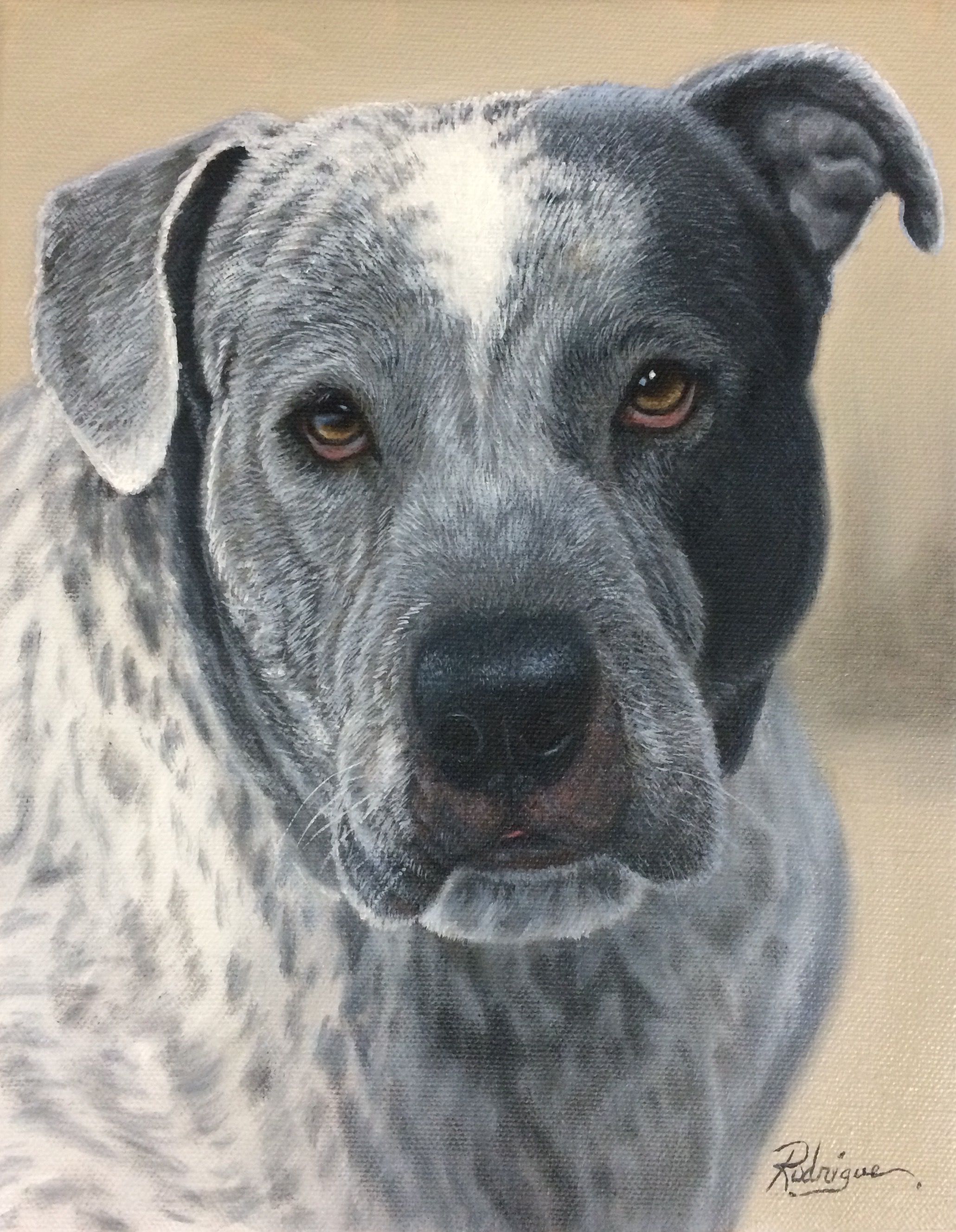 2061x2655 View It Larger On My Site Pitbull Mastiff Cross Pet Portrait Oil - Mastiff Painting