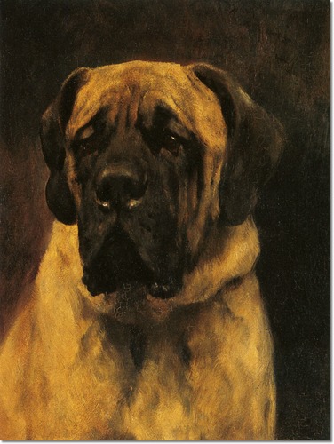 376x500 Dogs In Art Breed History Essay Research Nicola Keens 1120168 - Mastiff Painting