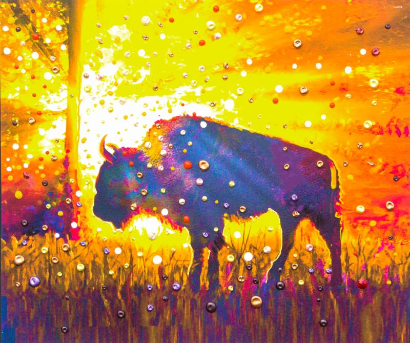 800x669 New Sacred Buffalo - Medicine Wheel Painting