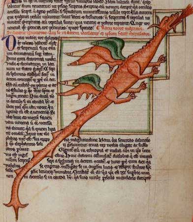 392x451 Medieval Bestiary Dragon - Medieval Dragon Painting
