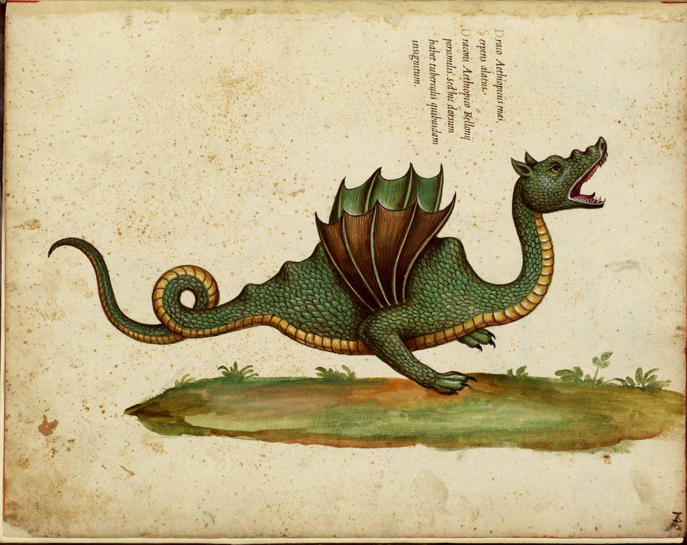 2288x1816 The Medieval Dragon - Medieval Dragon Painting