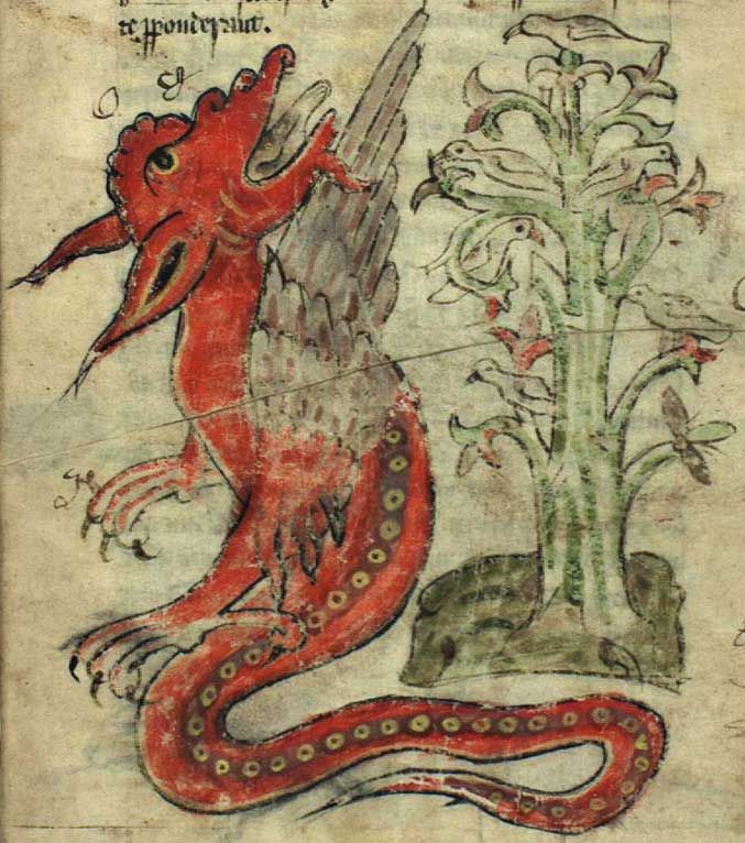 677x766 243 Best Dragons Images On Asian Art, Japanese Dragon - Medieval Dragon Painting