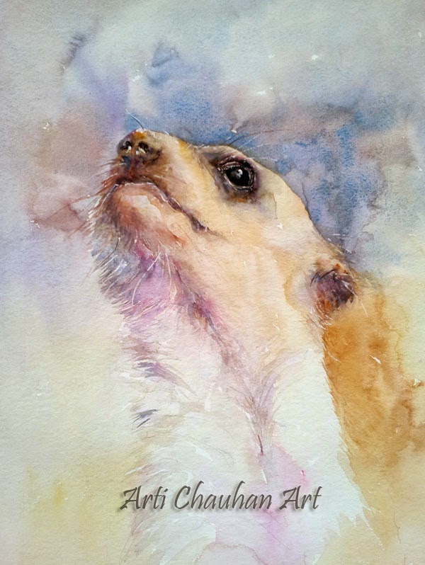 Meerkat Painting