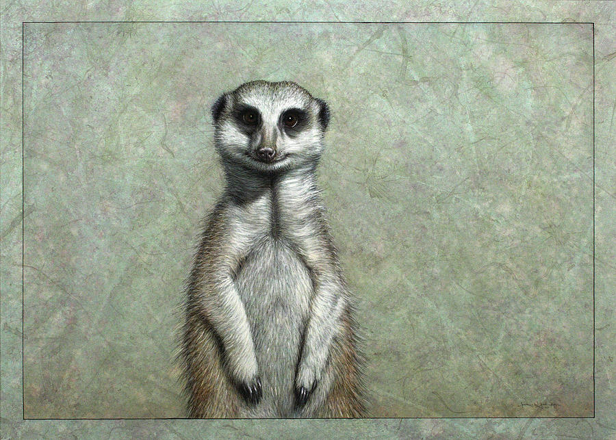 900x643 Meerkat Painting By James W Johnson - Meerkat Painting