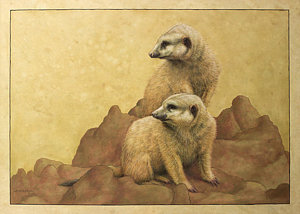 300x214 Meerkat Paintings Fine Art America - Meerkat Painting