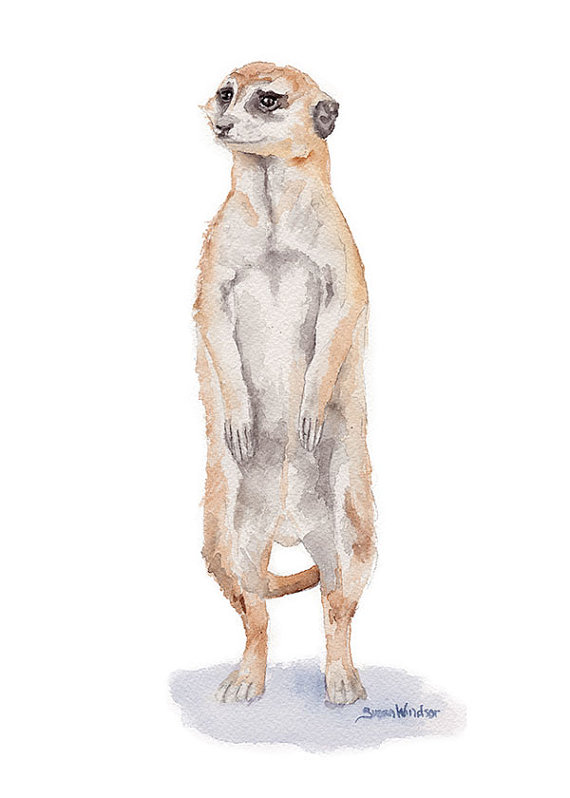 570x798 Meerkat Watercolor Painting 5 X 7 Giclee Fine Art Print - Meerkat Painting