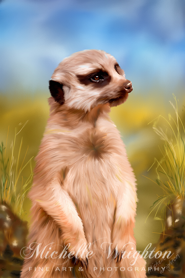 600x900 The Sentry - Meerkat Painting