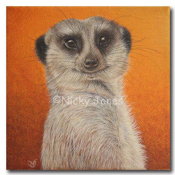 600x600 Wildlife, Animal And Nature Art, Portraits Of Small Pets, Birds - Meerkat Painting