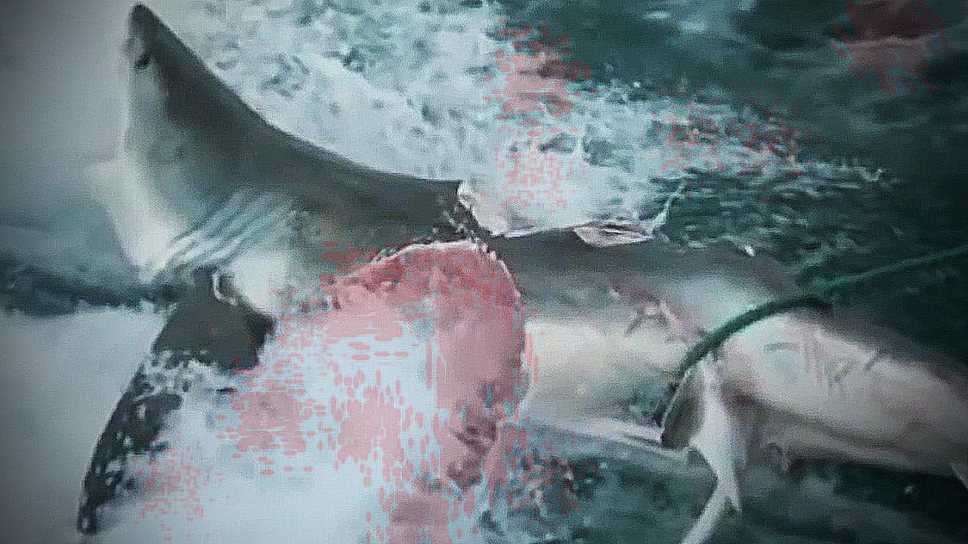 1920x1080 Megalodon Shark Caught On Tape - Megalodon Painting