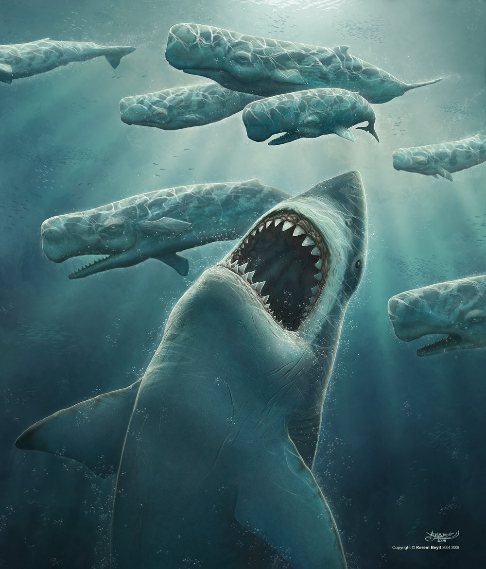 1000x1171 Out Of Blue By Kerembeyit - Megalodon Painting