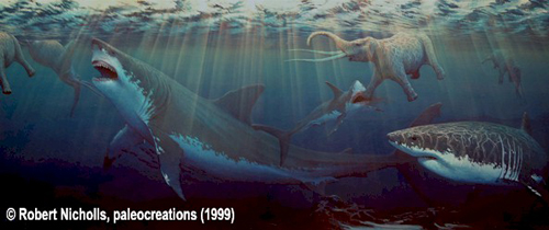 500x210 Paleoecology Of Megalodon And The White Shark - Megalodon Painting