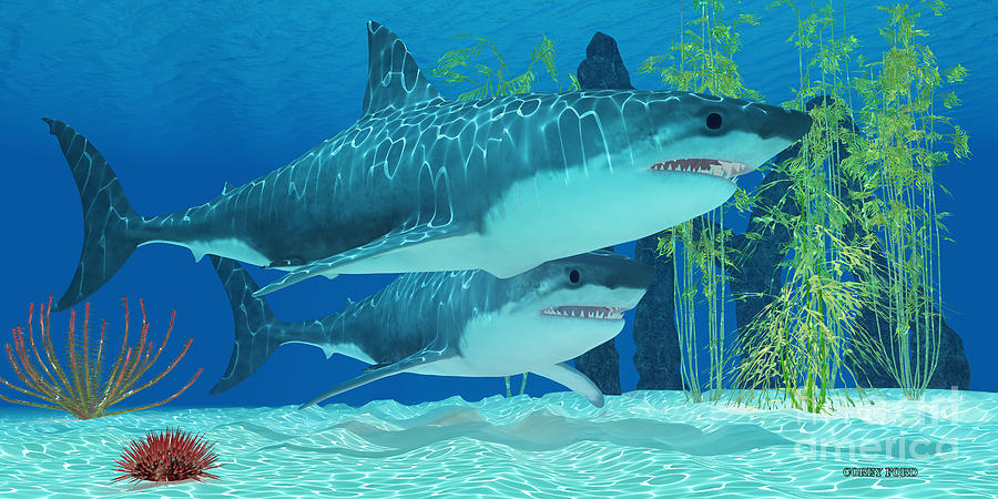 900x450 Pleistocene Megalodon Shark Painting By Corey Ford - Megalodon Painting