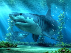 300x225 Prehistoric Shark Art Fine Art America - Megalodon Painting