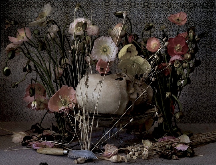 757x580 Momento Mori Mondo Art - Memento Mori Painting