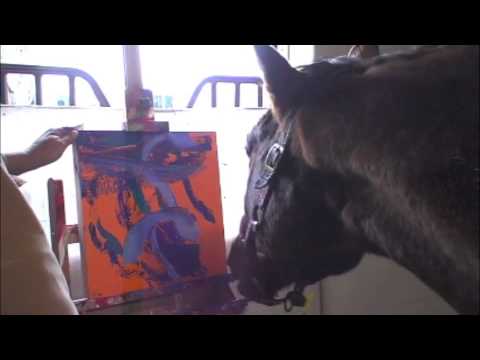 480x360 Metro The Painting Racehorse - Metro The Painting Horse