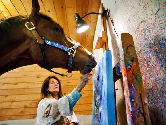 640x480 Metro The Painting Horse [Video] - Metro The Painting Horse