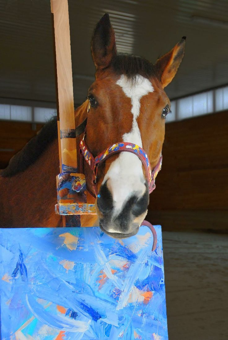 736x1100 The 41 Best Metro The Horse Painter Amp Ron Images - Metro The Painting Horse