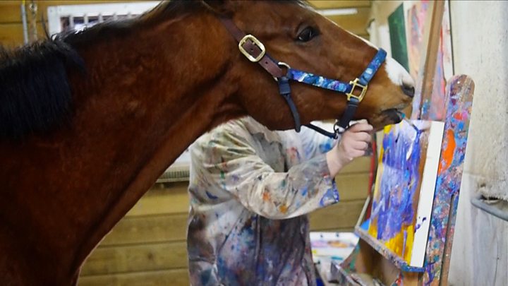 720x405 The Horse That Saved His Own Life By Painting - Metro The Painting Horse
