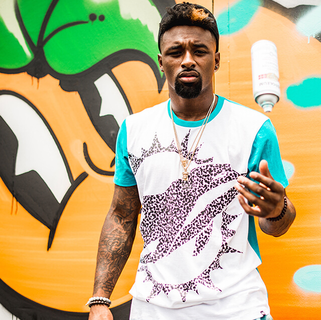 639x638 Miami Dolphins Style - Miami Dolphins Painting