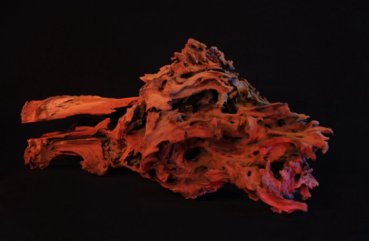 719x469 Mickey Hart Presents The Tao Of Wood Grateful Dead - Mickey Hart Painting