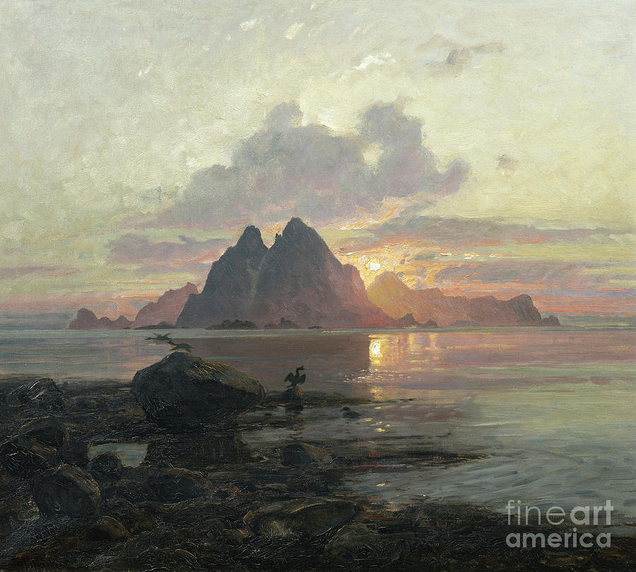 900x810 Phalacrocoarax Aristotelis In Midnight Sun Painting By Thorolf Holmboe - Midnight Sun Painting