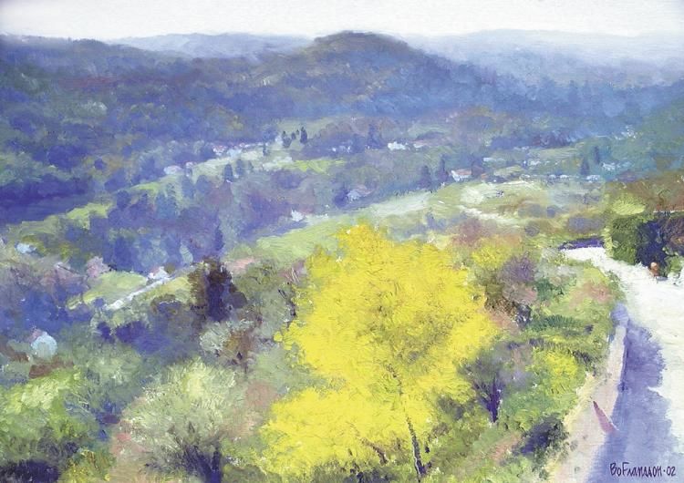 750x530 Mimosa In Bloom (Bo Fransson) - Mimosa Painting