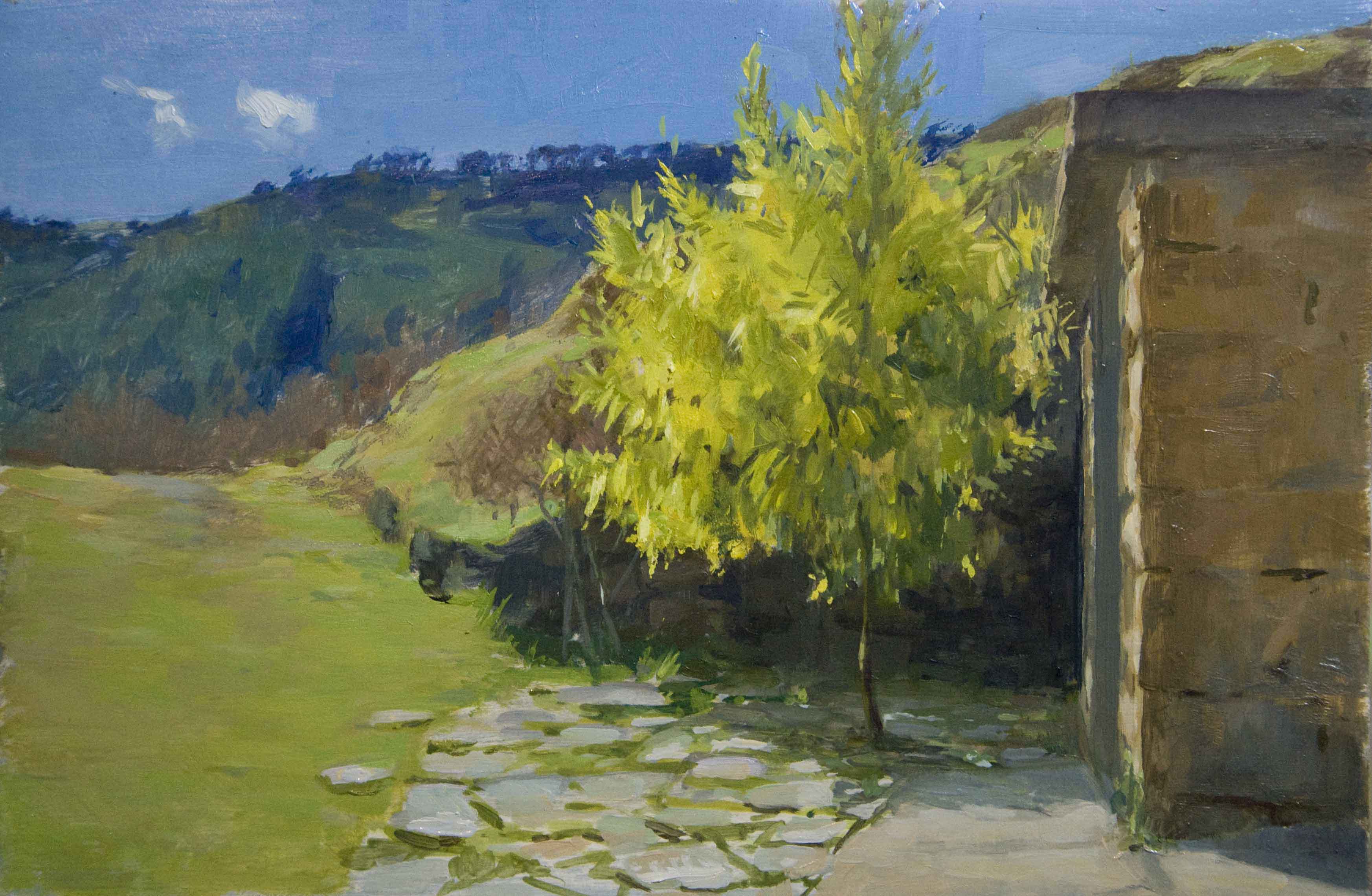 3491x2280 Mimosa Anna Dennis Oil Painter - Mimosa Painting