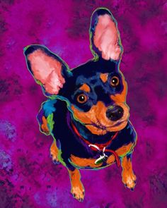 236x295 Miniature Pinscher - Min Pin Painting