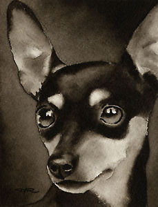 229x300 Miniature Pinscher Art Print Sepia Watercolor Min Pin Painting By - Min Pin Painting