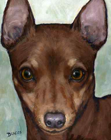 383x480 Dog Paintings (And Cat And Other Animals) By Dottie Dracos - Min Pin Painting