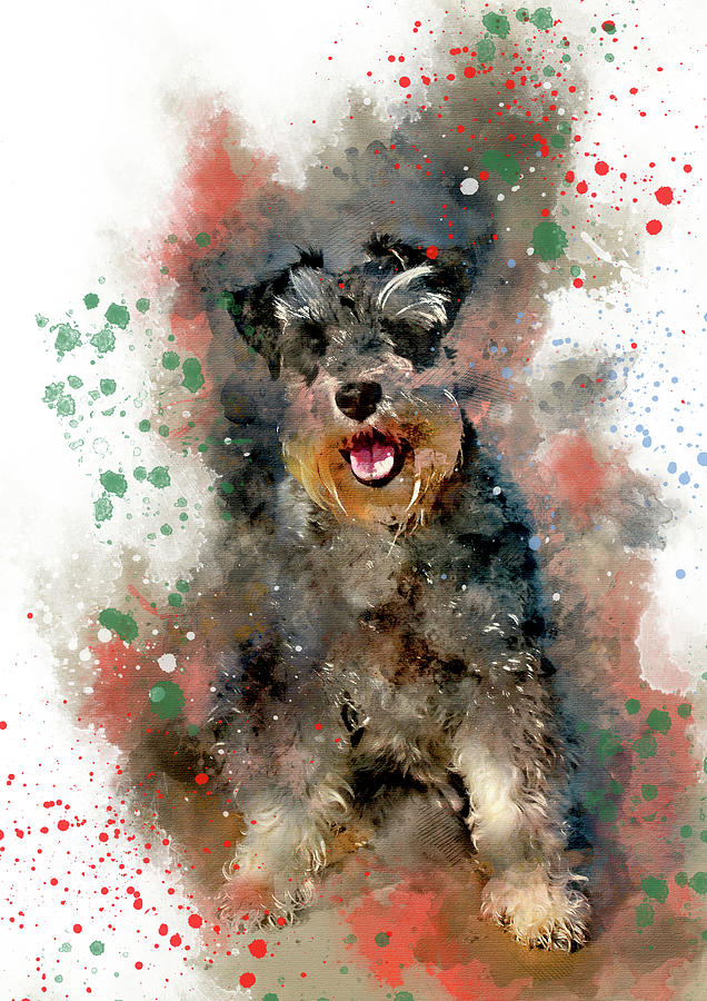 636x900 Miniature Schnauzer Painting By Rosalia S - Miniature Schnauzer Painting