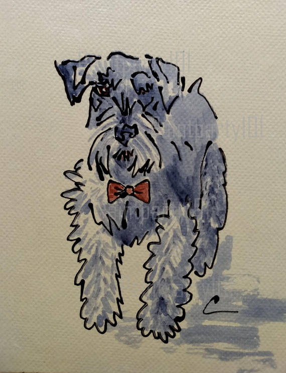 570x744 Miniature Schnauzer Painting Schnauzer Watercolor Schnauzer - Miniature Schnauzer Painting