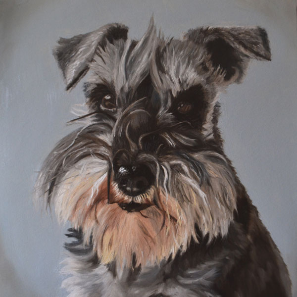 600x600 Pepsi - Miniature Schnauzer Painting