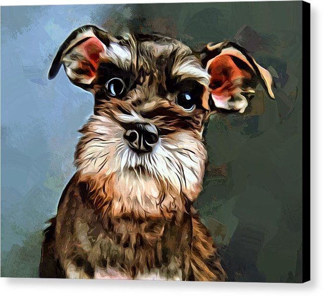 637x585 Schnauzer Canvas Print Featuring The Painting Miniature Schnauzer - Miniature Schnauzer Painting